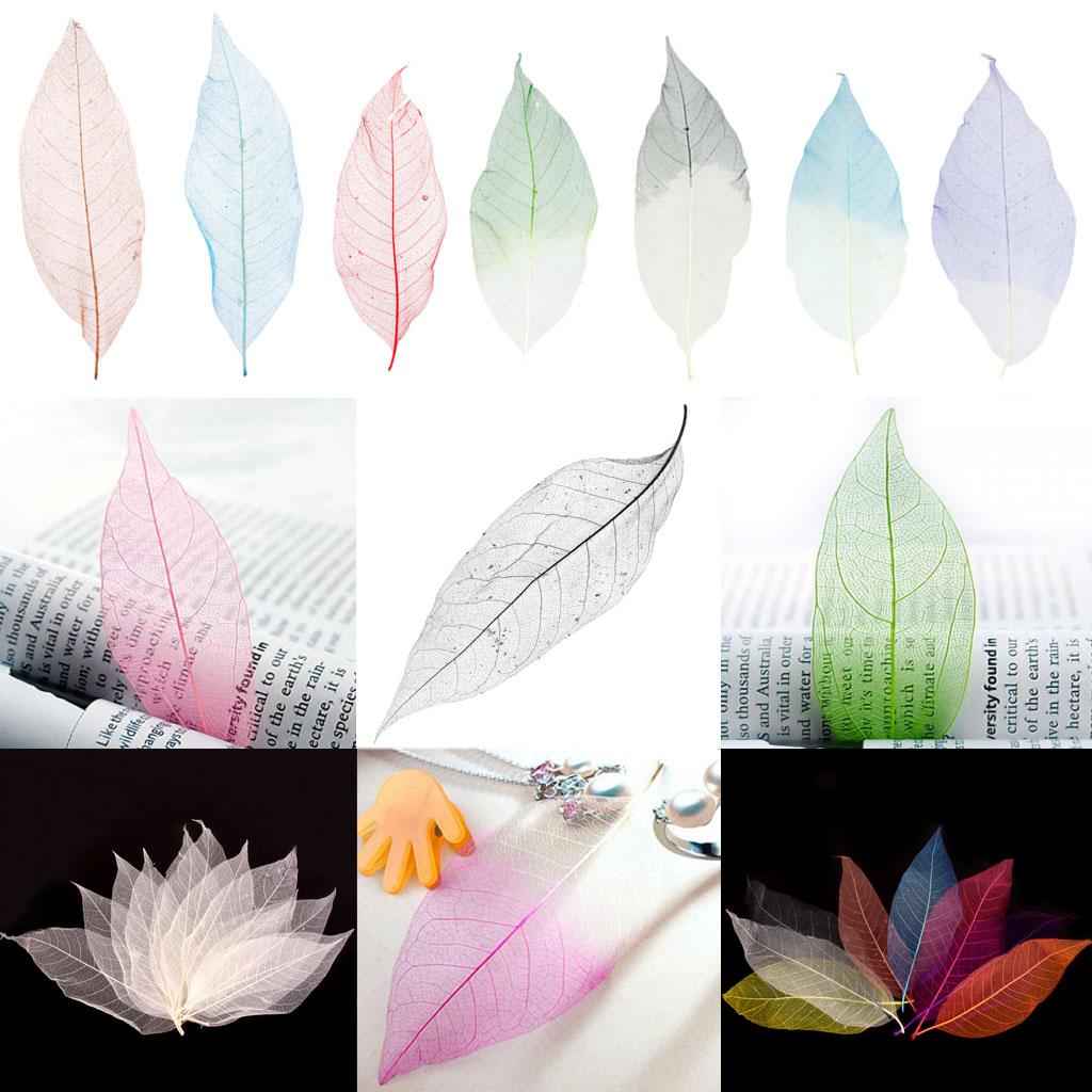 Natural Magnolia Skeleton Leaf Leaves Card Making Scrapbooking Embellishments Craft Supplies Green Pack Of 50PCS