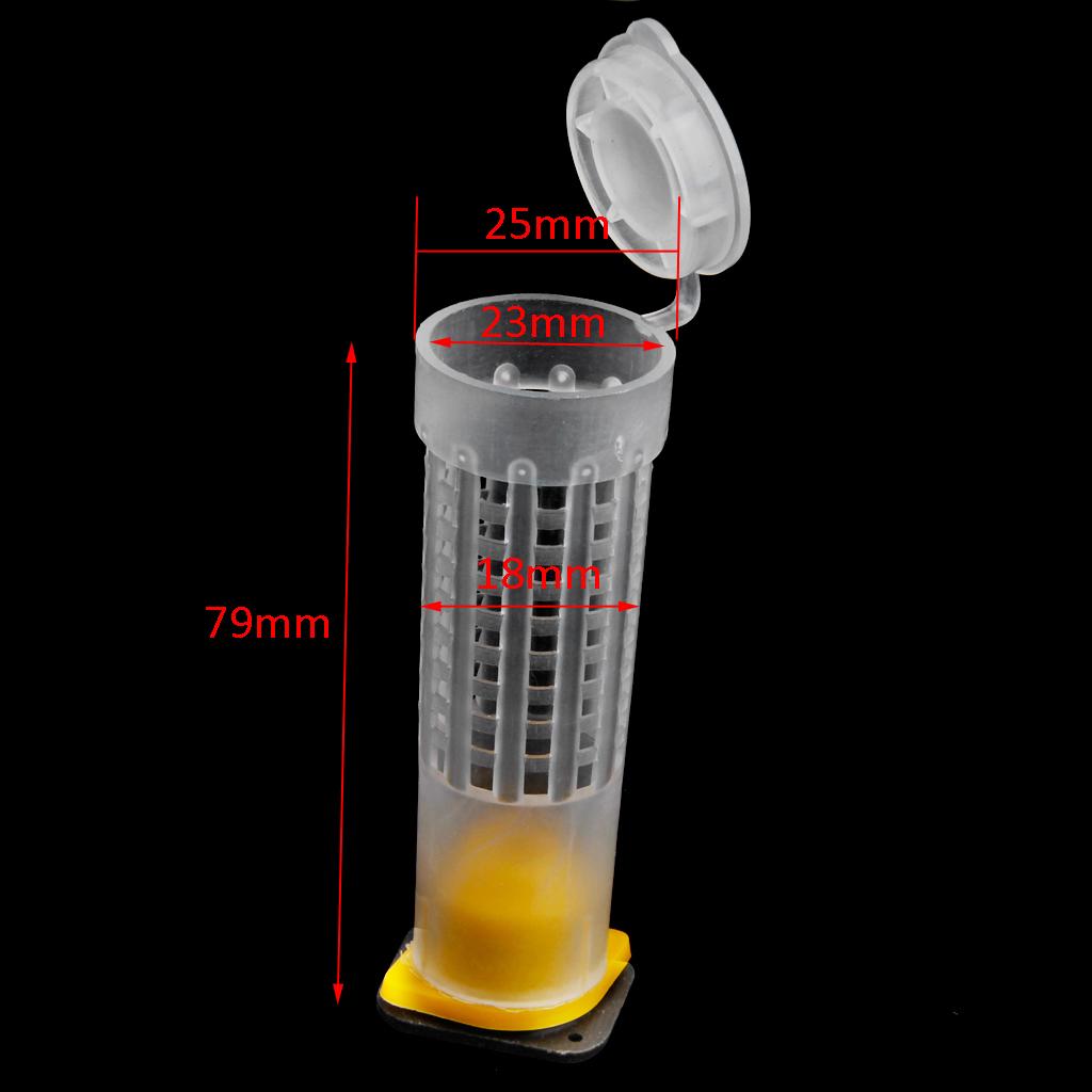 2000Beekeeping Queen Bee Hair Roller Cages Cell Cup Holder and Cell Fixtures