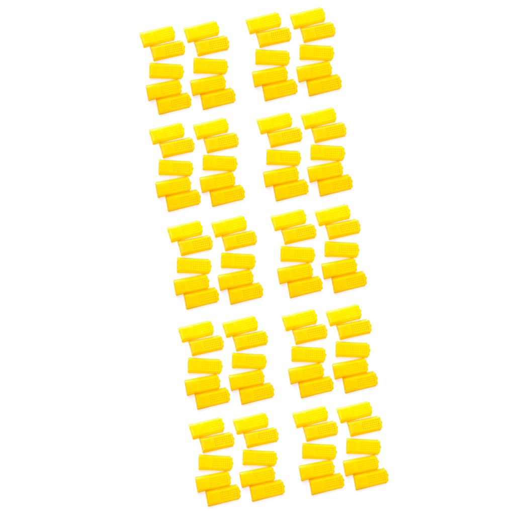 100 piece Professional Queen Bee Butler Cage Moving Catcher Beekeeping Tools