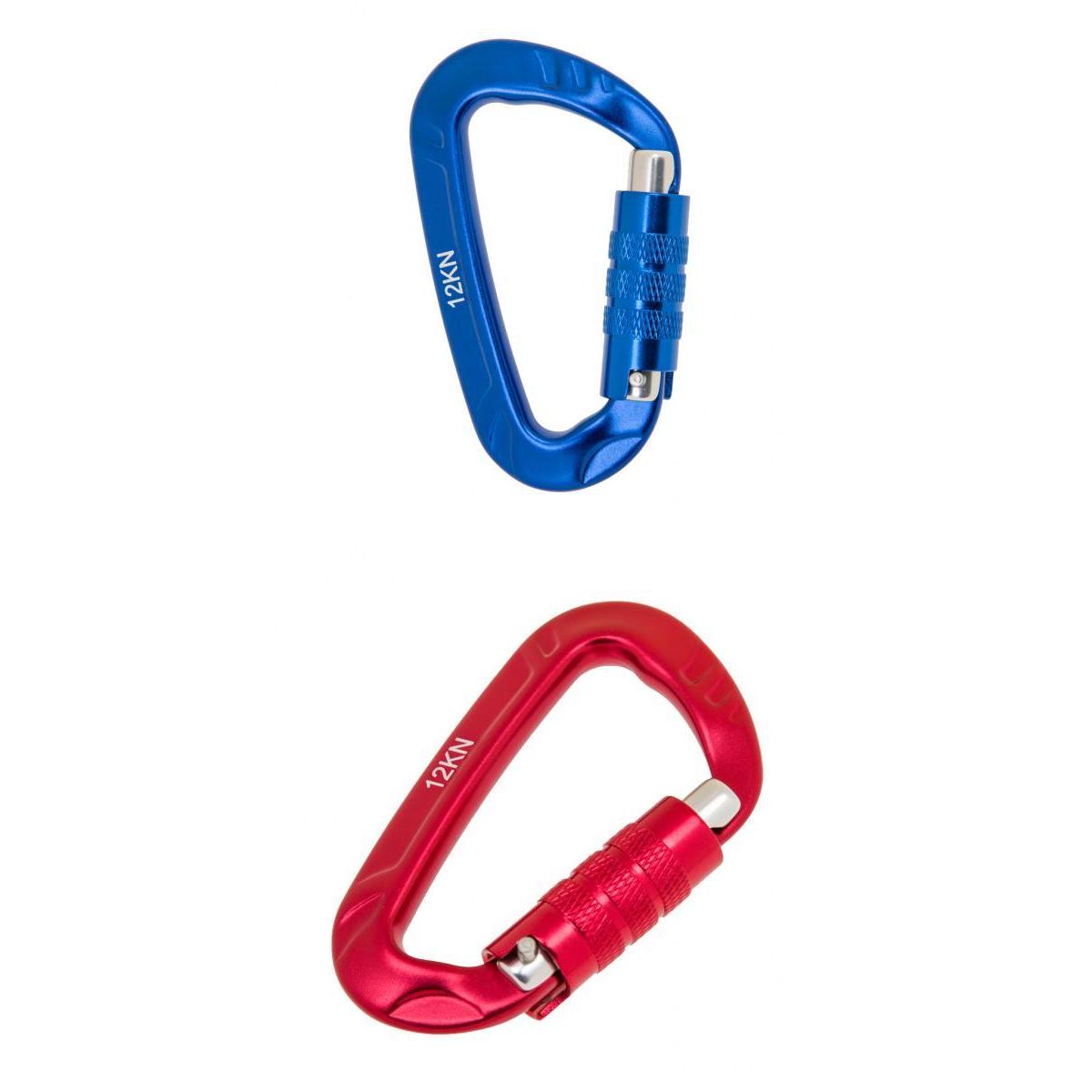 2 Pieces 12KN D Shape Twist Auto Locking Carabiner Spring Snap Hook Keychain