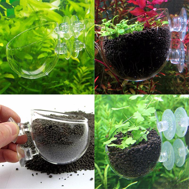 2Piece Aquatic Plant Glass Cup Pot for Aquarium Aquascaping Fish Tank Holder