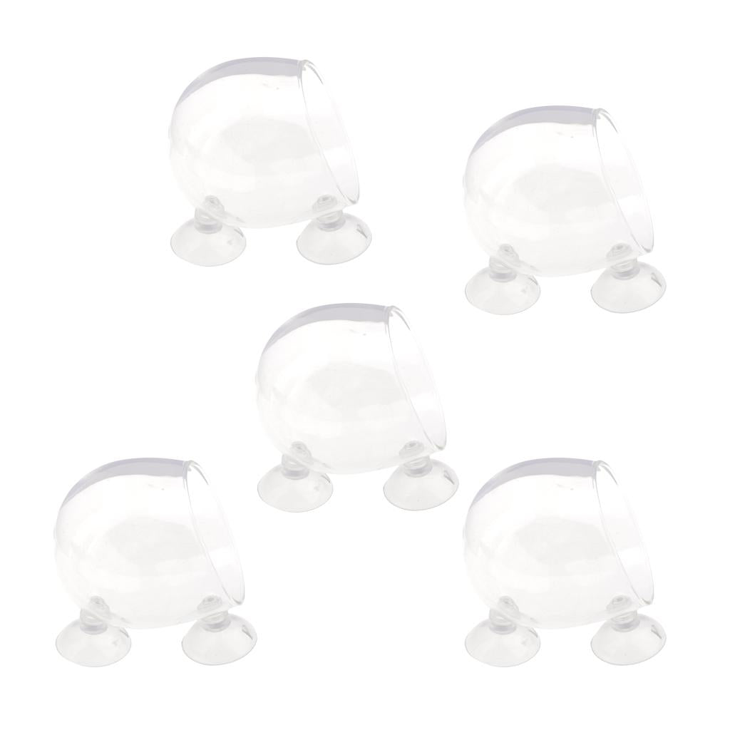 5Piece Aquatic Plant Glass Cup Pot for Aquarium Aquascaping Fish Tank Holder