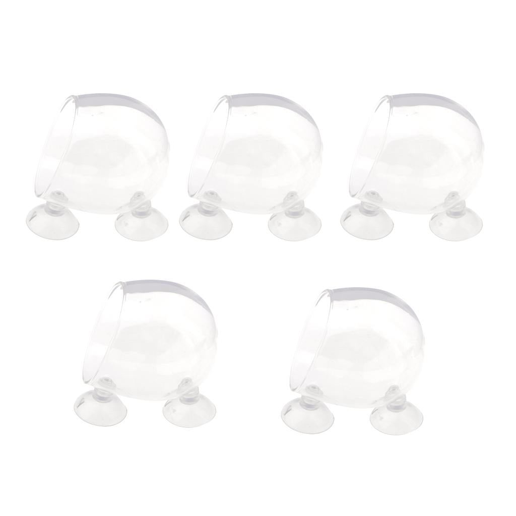 5Piece Aquatic Plant Glass Cup Pot for Aquarium Aquascaping Fish Tank Holder