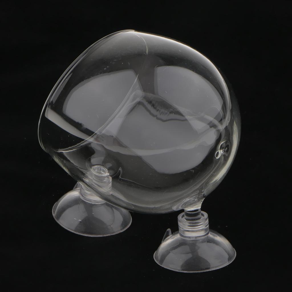 5Piece Aquatic Plant Glass Cup Pot for Aquarium Aquascaping Fish Tank Holder