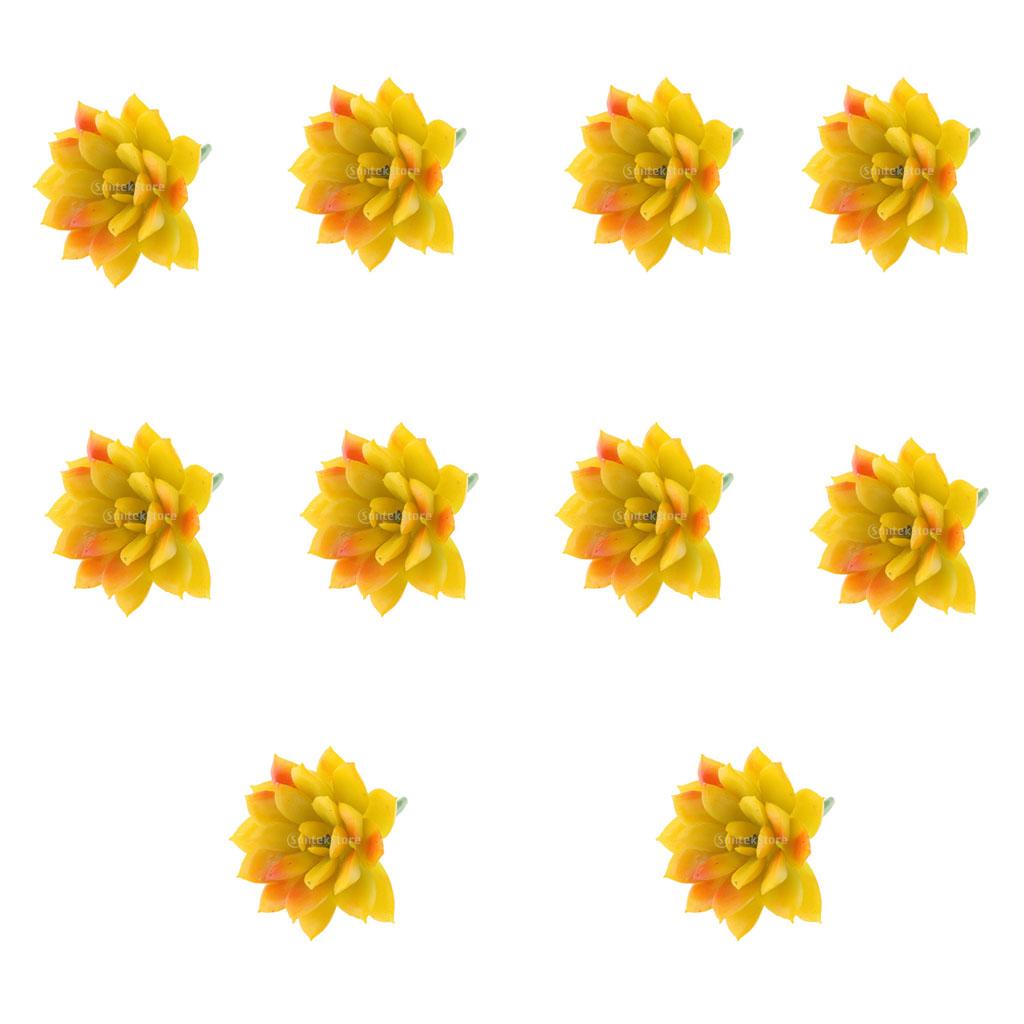 10Pieces Artificial Plastic Succulent Echeveria Plant Flower DIY Home Decor
