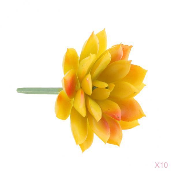 10Pieces Artificial Plastic Succulent Echeveria Plant Flower DIY Home Decor