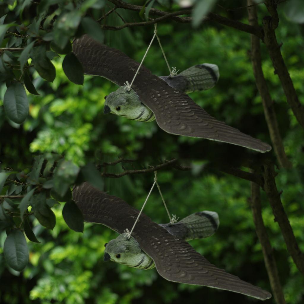 2 Realistic Flying Bird Hawk Decoy Pest Control Garden Yard Scarer Scarecrow
