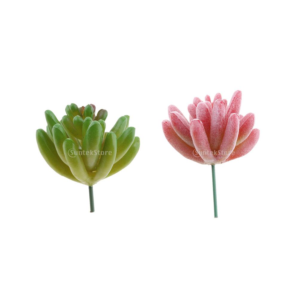 2.36'' Artificial Succulent Plant Echeveria #4 #5