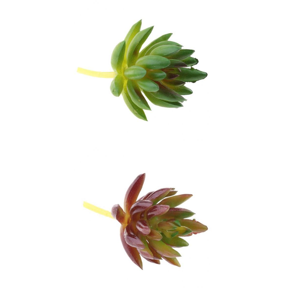 3.54'' Artificial Succulent Plant #11 #12