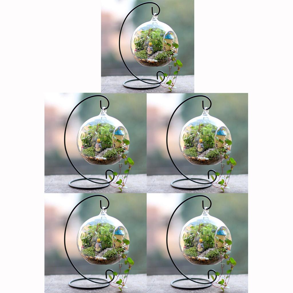 5 Set Hanging Glass Flower Vase Bottle Hydroponic Terrarium Container Stand