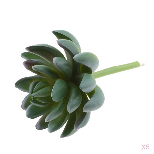 5 Pieces Artificial Plastic Succulent Plants Cactus Home Decor Greenery 16cm