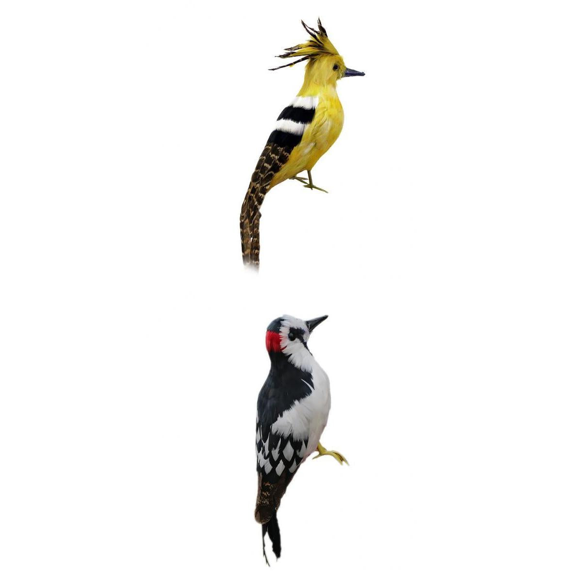 2 Piece Artificial Feather Animal Woodpecker Hoopoe Garden Figurine Decor