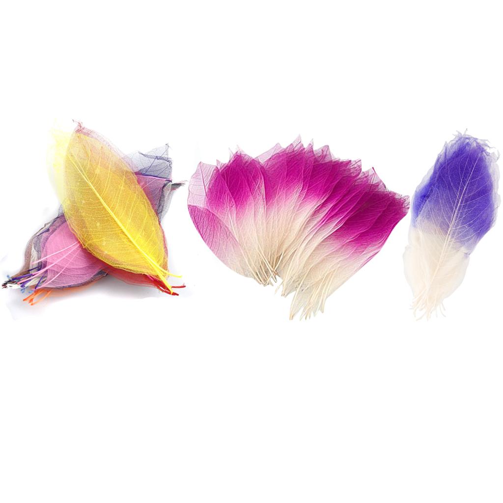 150pcs Natural Magnolia Skeleton Leaf Leaves for Card Making Scrapbooking