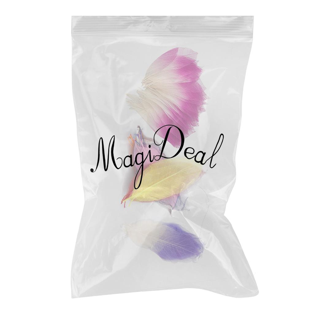 150pcs Natural Magnolia Skeleton Leaf Leaves for Card Making Scrapbooking