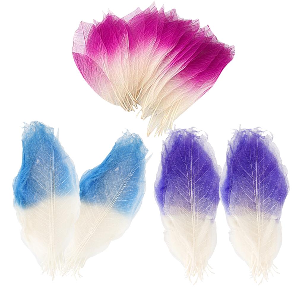 150 Pieces Natural Magnolia Skeleton Leaf Leaves Card Scrapbooking Craft