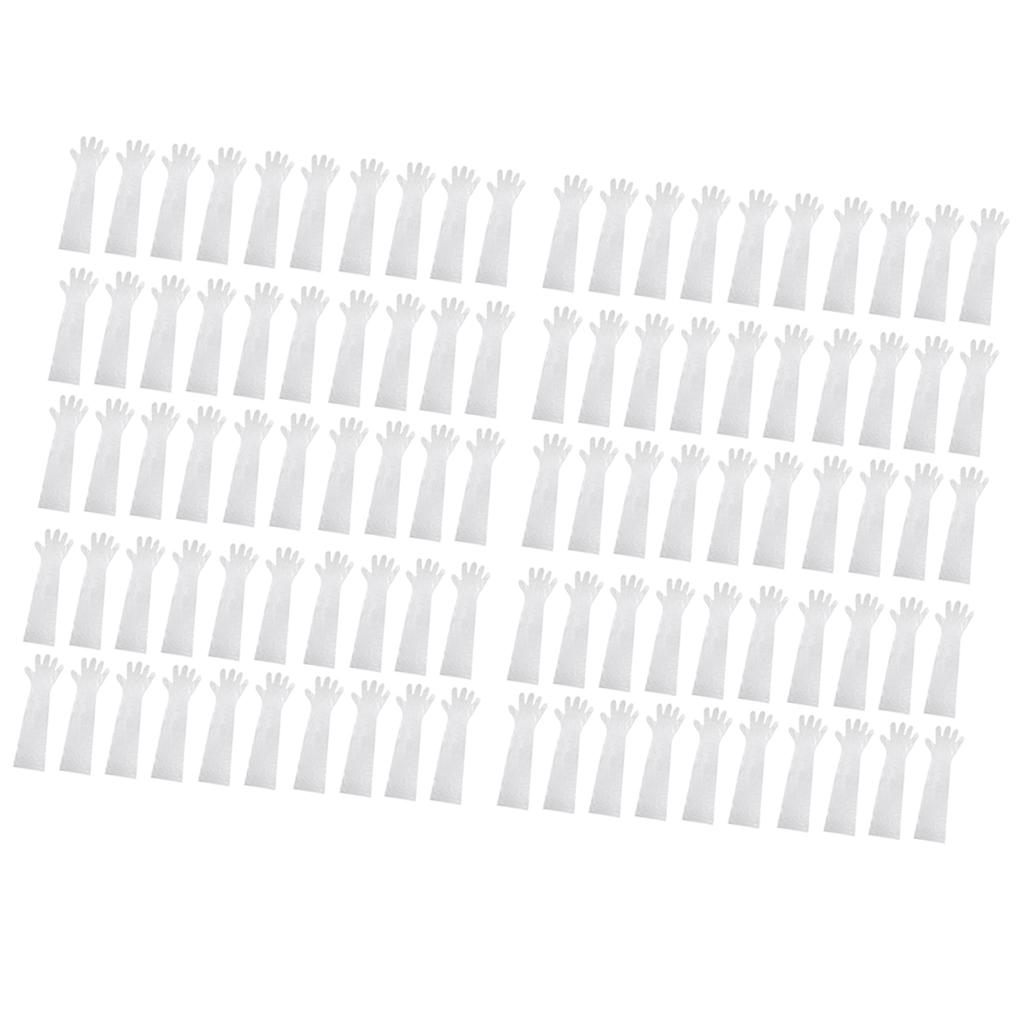 100 Pieces Long Arm Length Disposable Pond Aquarium Veterinary Gloves Clear