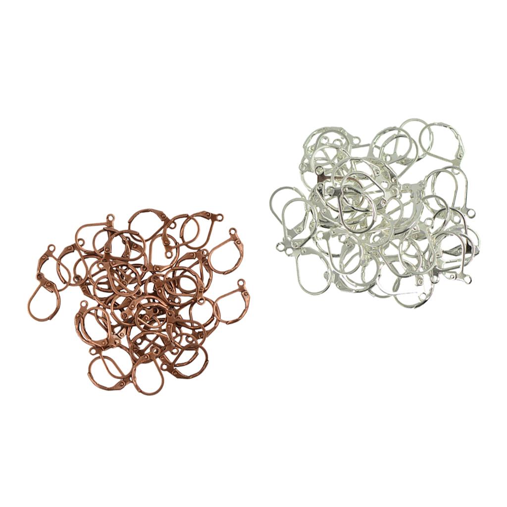 100Pcs French Leverback Earrings Hook Ear Wire Ear Findings for DIY Earrings