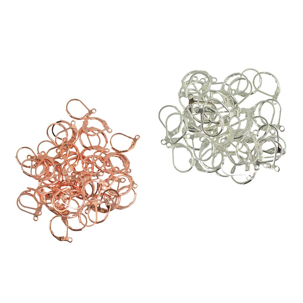 100Pcs Earrings Hook Ear Wire Earring Clip Ear Findings for DIY Earrings