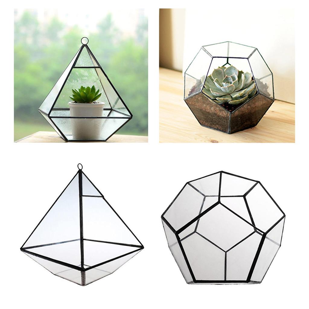 2x Phenovo Tabletop Succulent Plant Terrarium Box Planter Glass Greenhouse