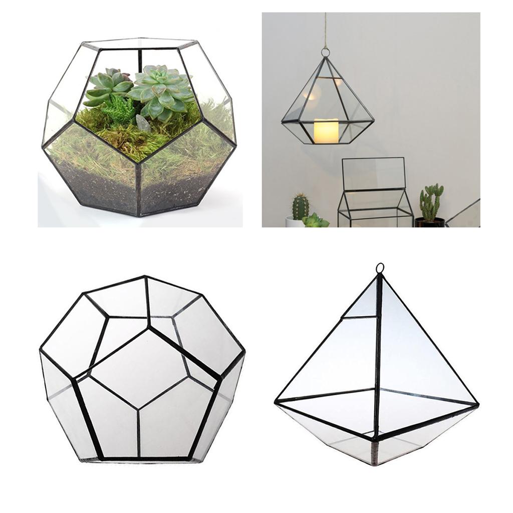 2x Phenovo Tabletop Succulent Plant Terrarium Box Planter Glass Greenhouse