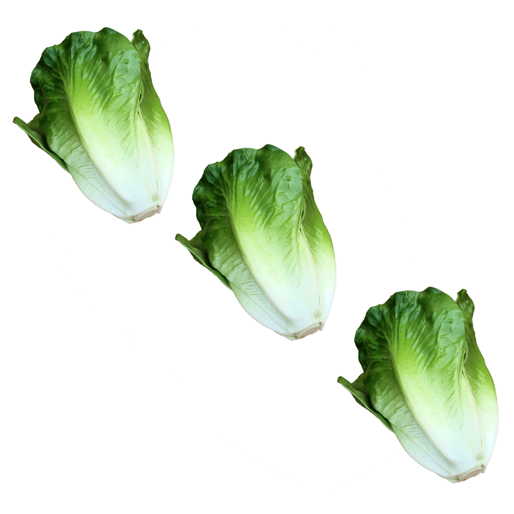 3Pcs Vivid Artificial Lettuce Imitation Food Home Store Cabinet Display