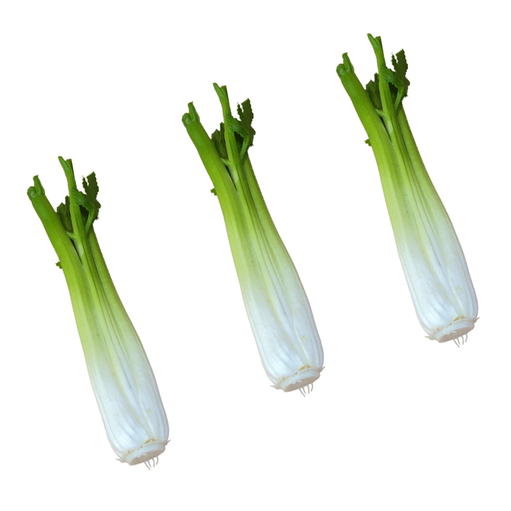 3Pcs Vivid Artificial Celery Toy Imitation Food Home Store Cabinet Display