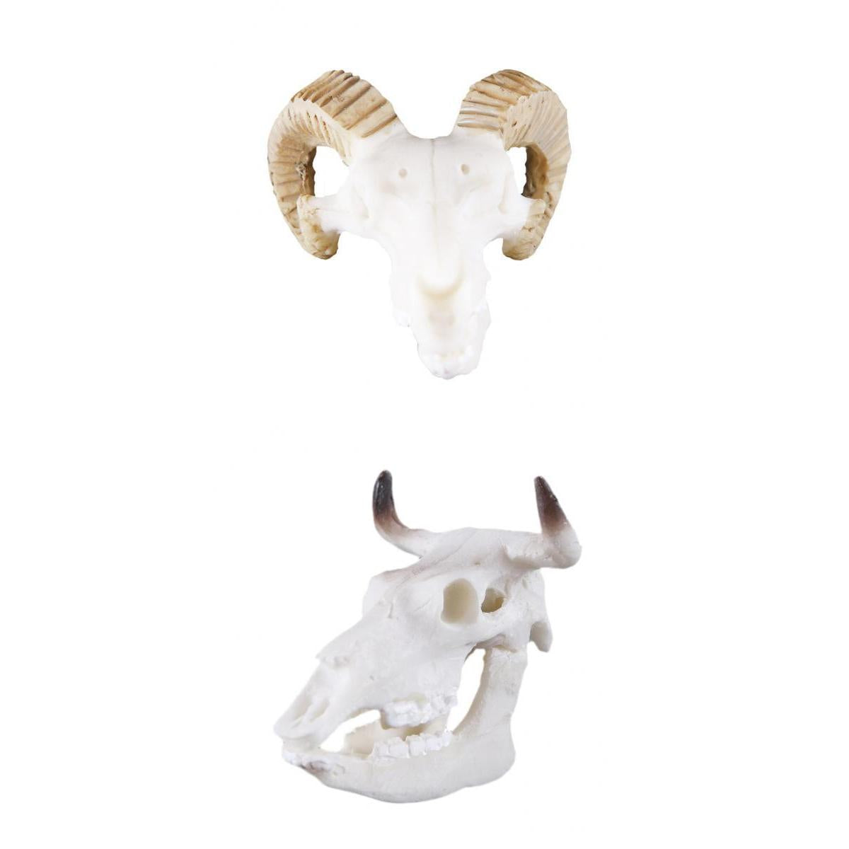 2Pcs Resin Goat Buffalo Skull Aquarium Ornament Reptile Terrarium Decor
