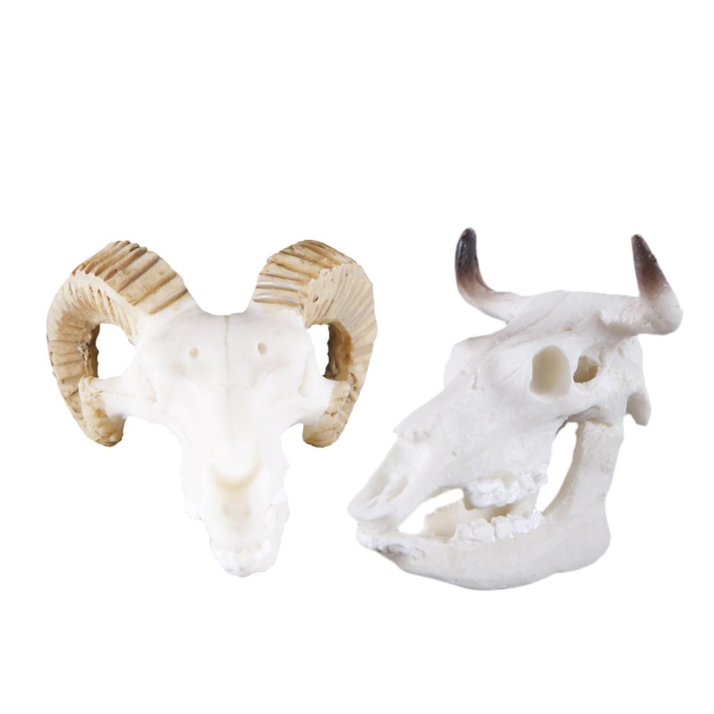 2Pcs Resin Goat Buffalo Skull Aquarium Ornament Reptile Terrarium Decor
