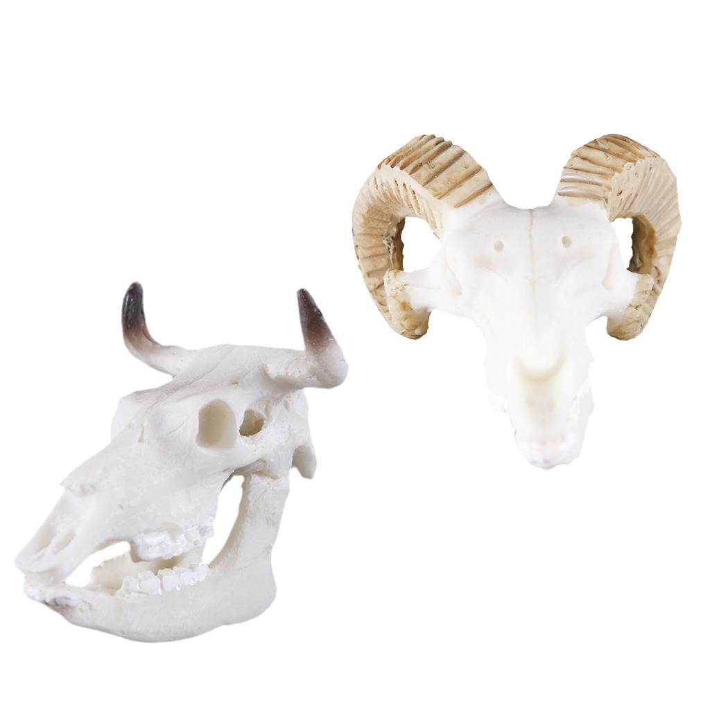 2Pcs Resin Goat Buffalo Skull Aquarium Ornament Reptile Terrarium Decor