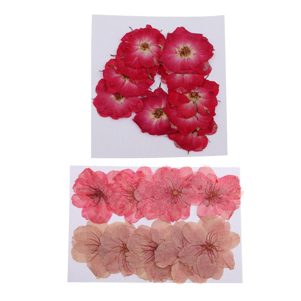 20 Pieces Mixed Pressed Dried Sakura Flowers Cherry Blossom Rose Flowers