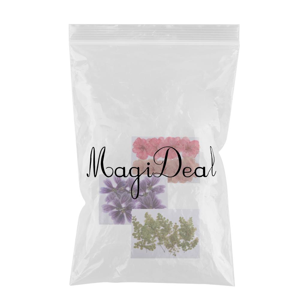 30 Pieces Mixed Natural Pressed Dried Flowers for DIY Card Making Art Crafts