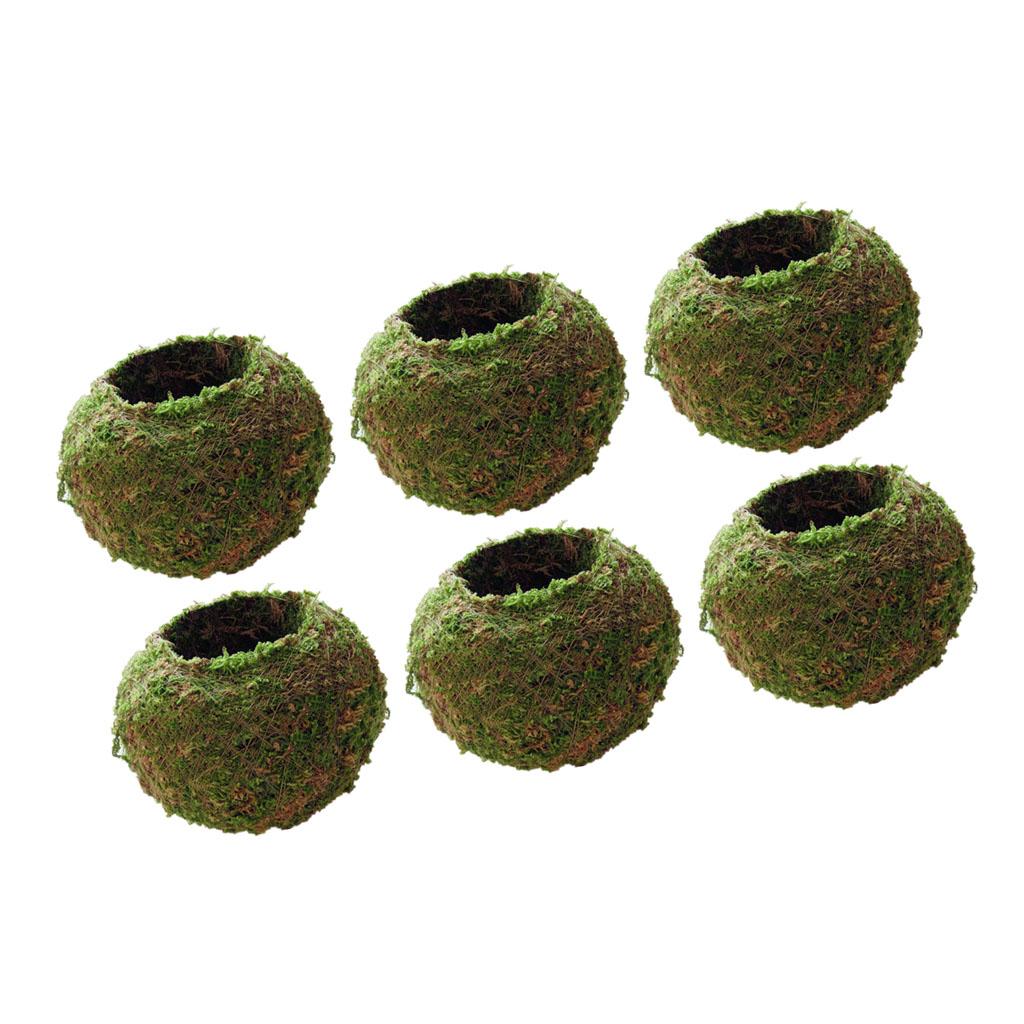 6 Pieces Creative Moss Ball Flower Pot Planter Bonsai Plant Holder Home 12cm