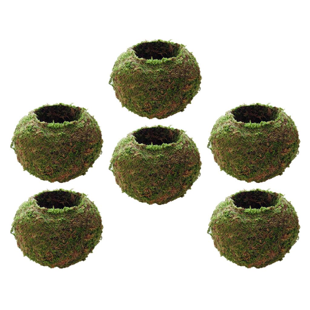 6 Pieces Creative Moss Ball Flower Pot Planter Bonsai Plant Holder Home 12cm