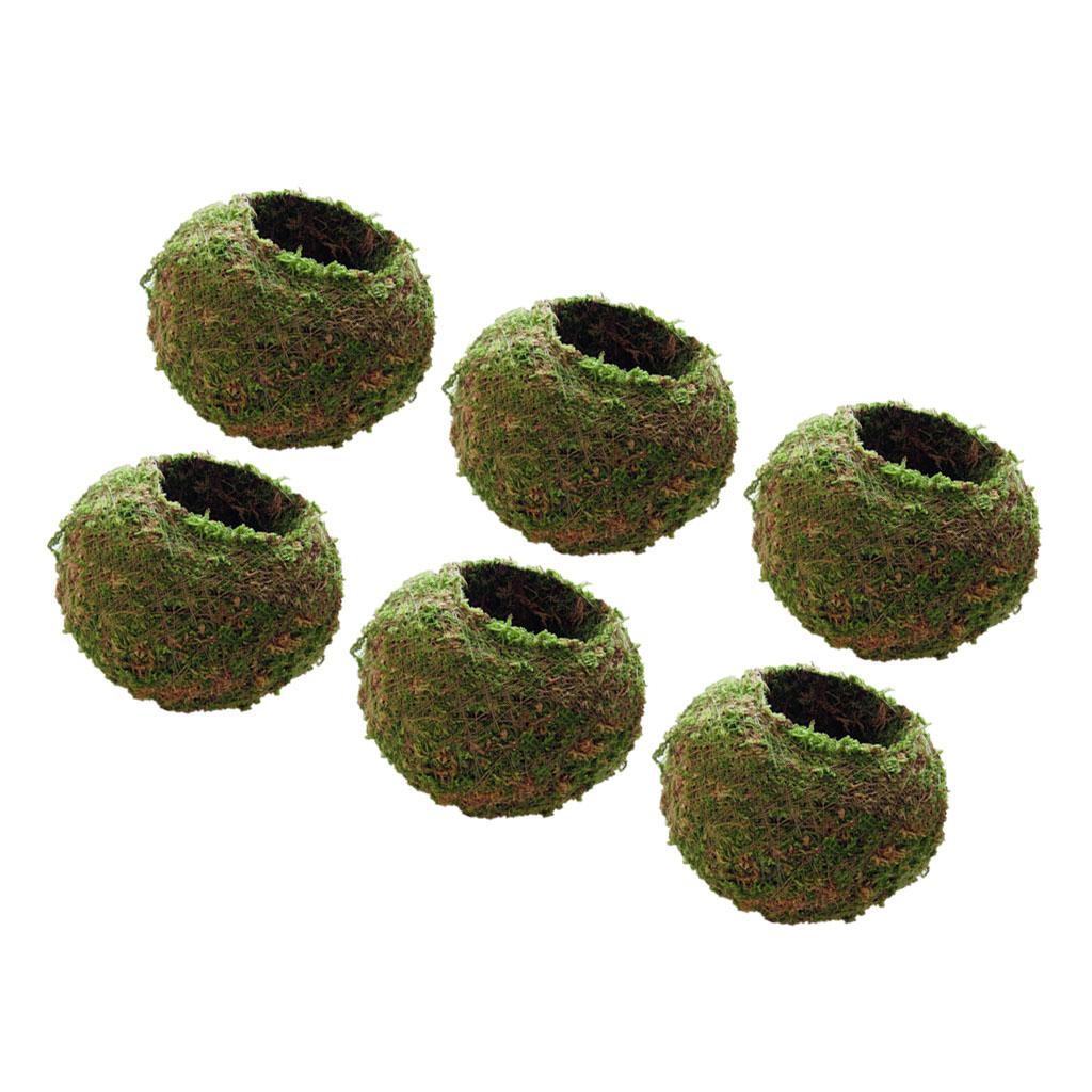 6 Pieces Creative Moss Ball Flower Pot Planter Bonsai Plant Holder Home 15cm