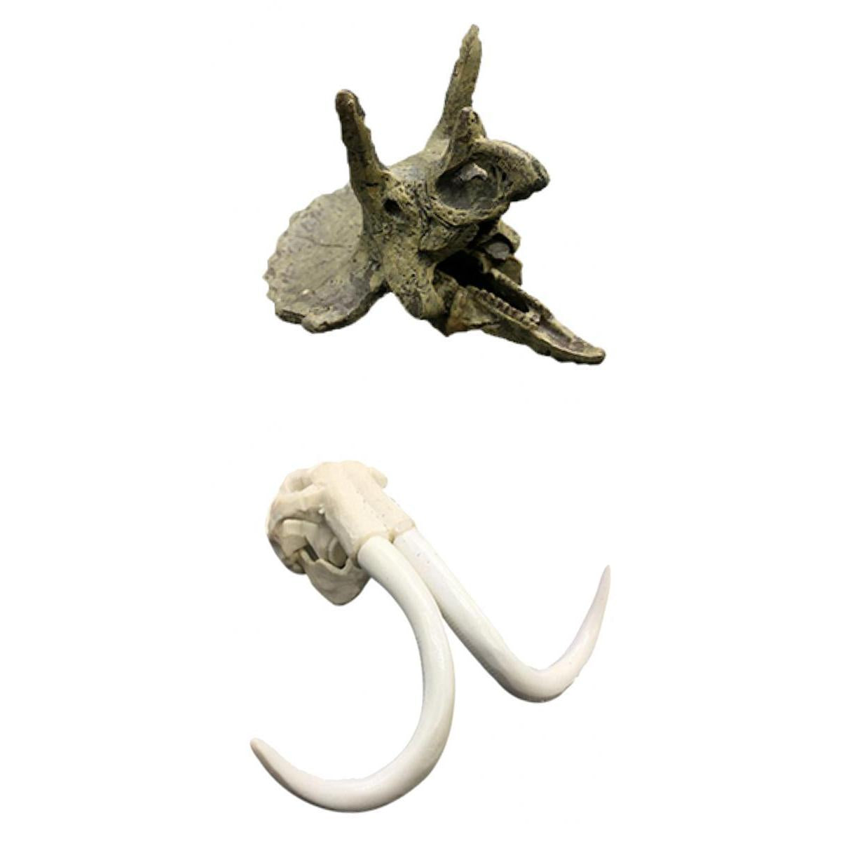 2Pcs Creative Animal Head Skull Aquarium Decoration Elephant Dragon Skull