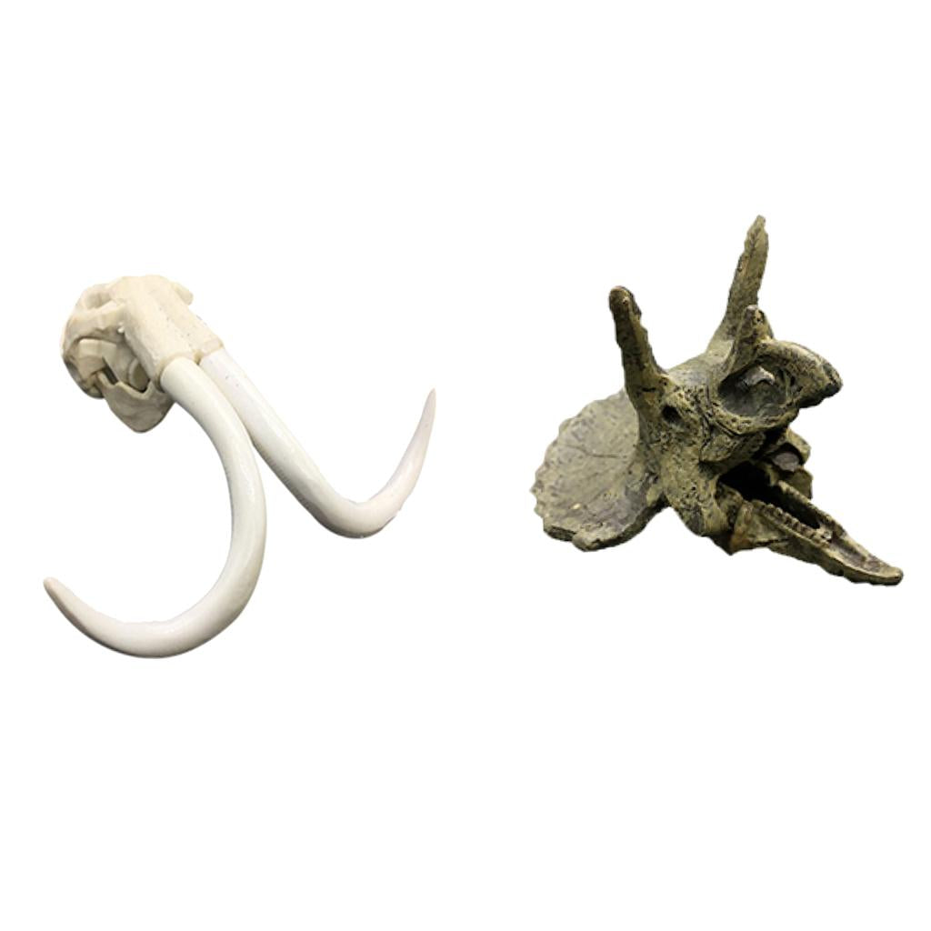 2Pcs Creative Animal Head Skull Aquarium Decoration Elephant Dragon Skull