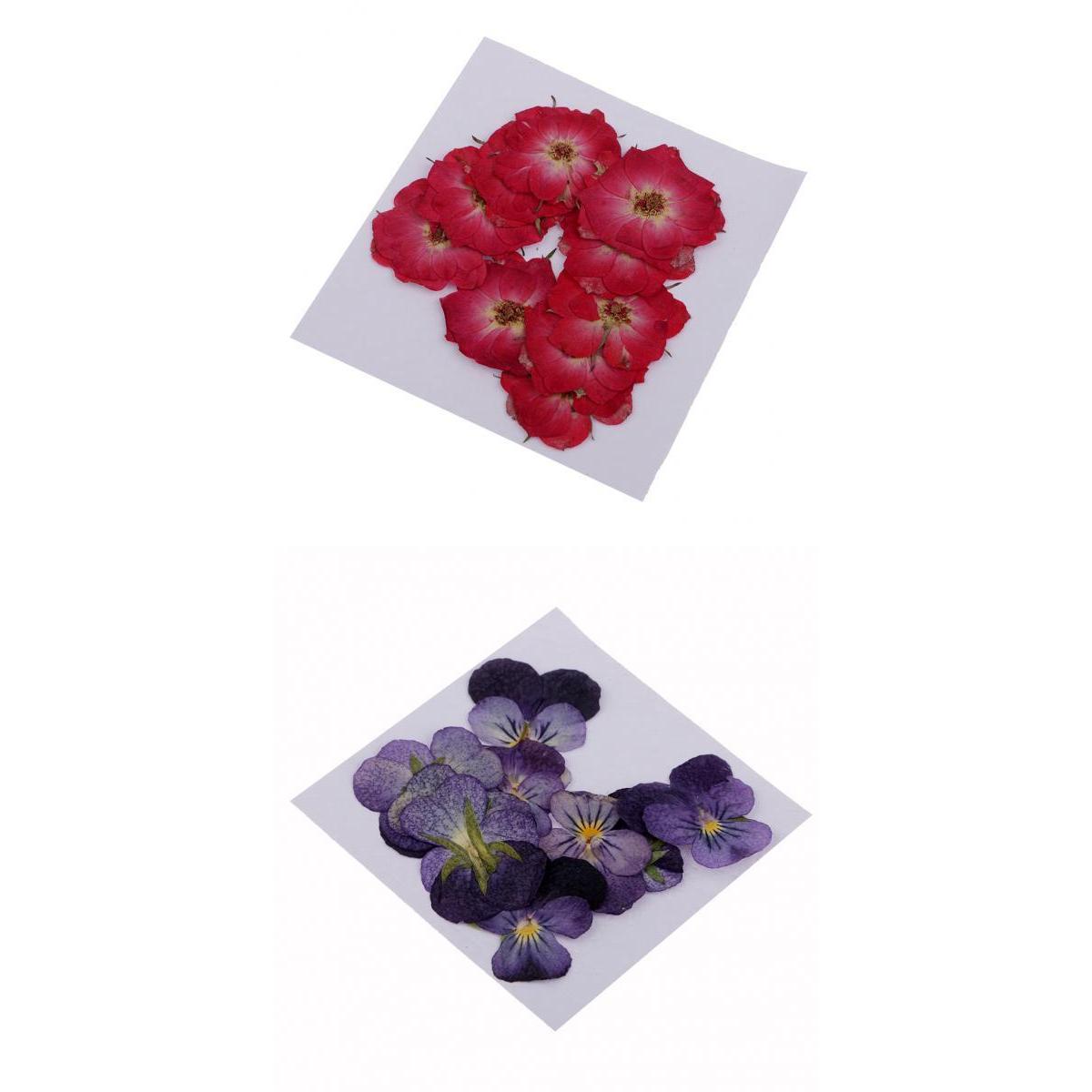 22 Pieces Rose Flower Violet Dried Pressed Flowers for Scrapbooking Crafts
