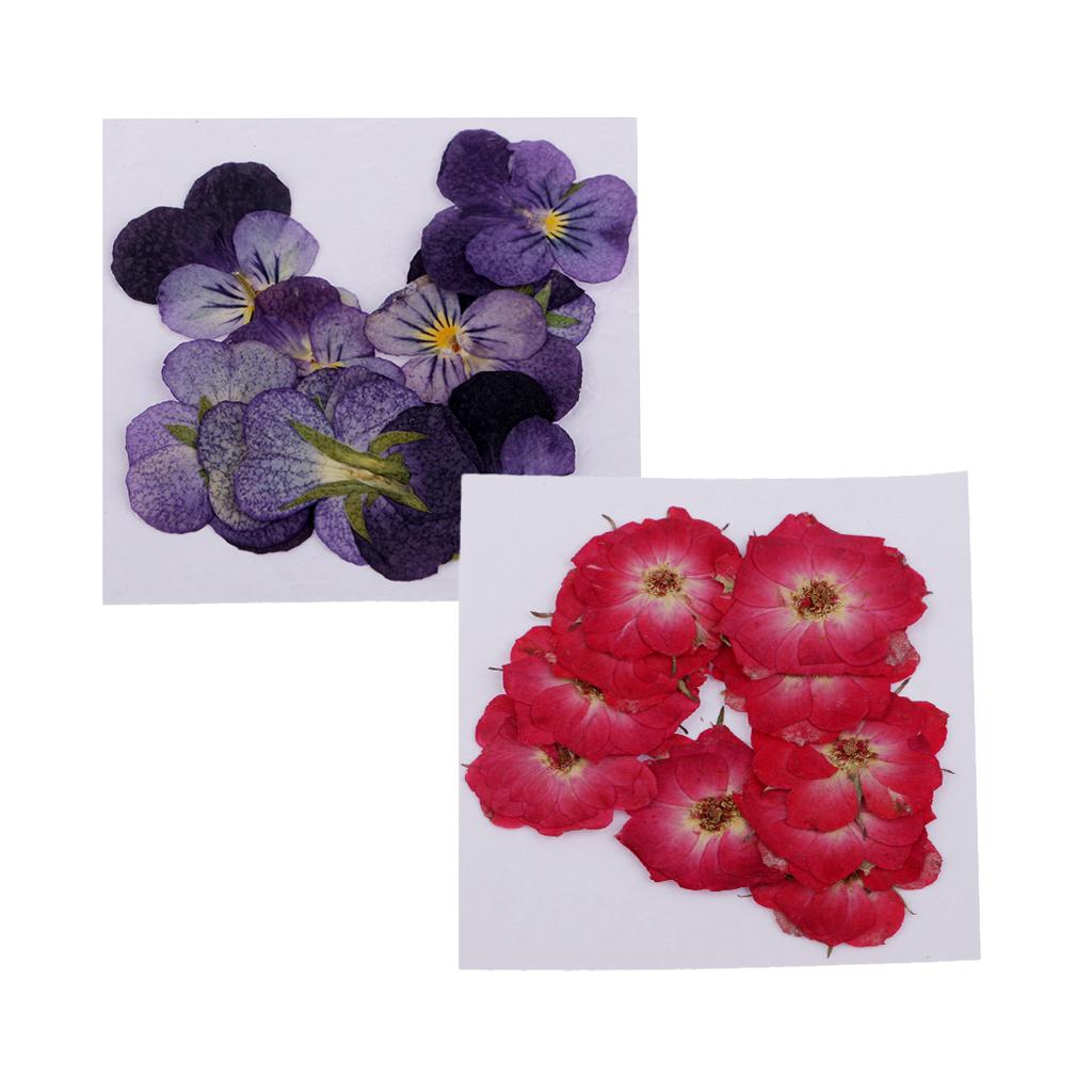 22 Pieces Rose Flower Violet Dried Pressed Flowers for Scrapbooking Crafts