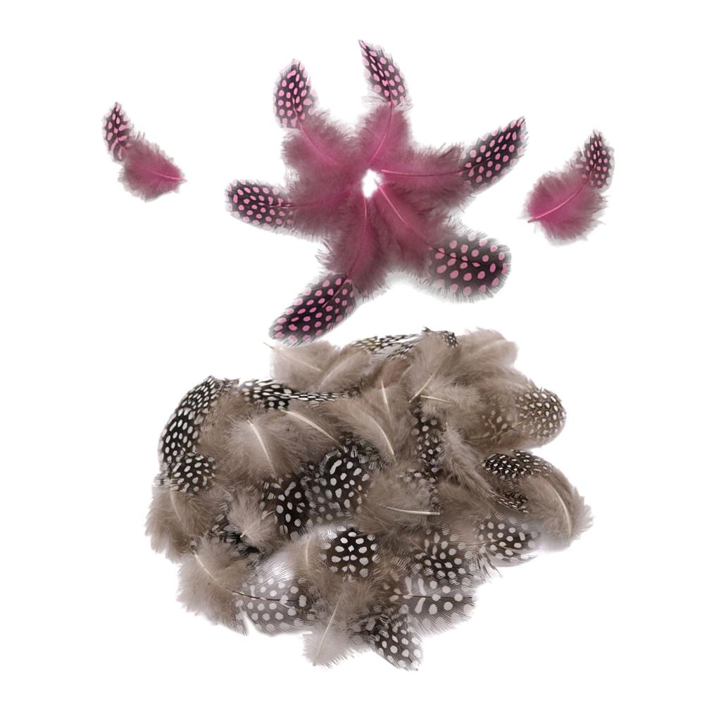 100 Pieces Dyed Guinea Hen Feather Chicken Feathers 5-10cm Natural Pink