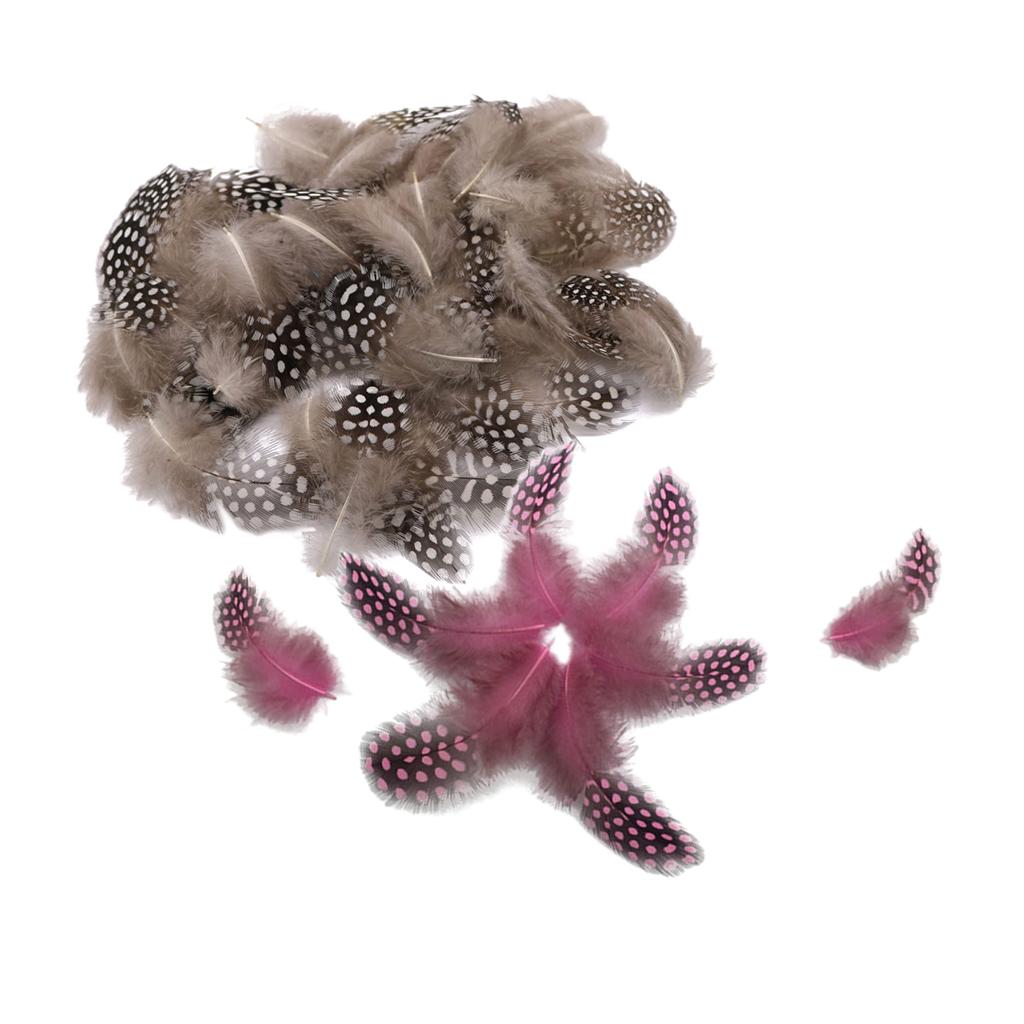 100 Pieces Dyed Guinea Hen Feather Chicken Feathers 5-10cm Natural Pink