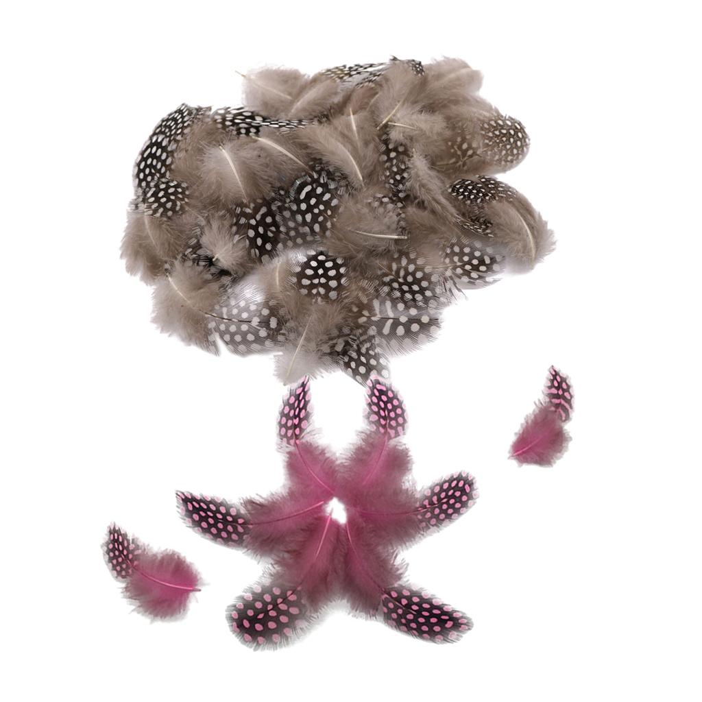 100 Pieces Dyed Guinea Hen Feather Chicken Feathers 5-10cm Natural Pink