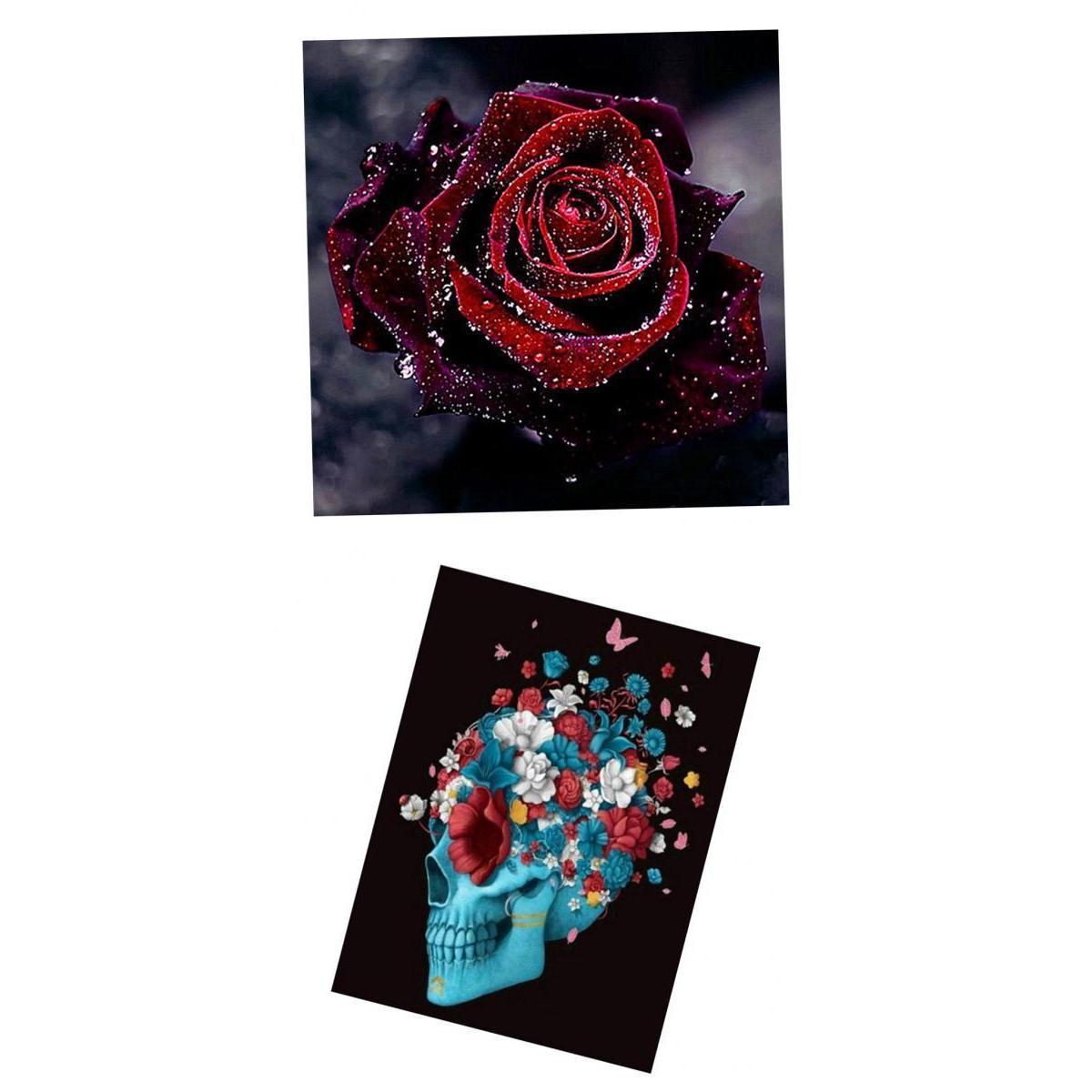 2Pcs 5D Diamond Painting DIY Skull Rose Flower Embroidery Kit Home Decor