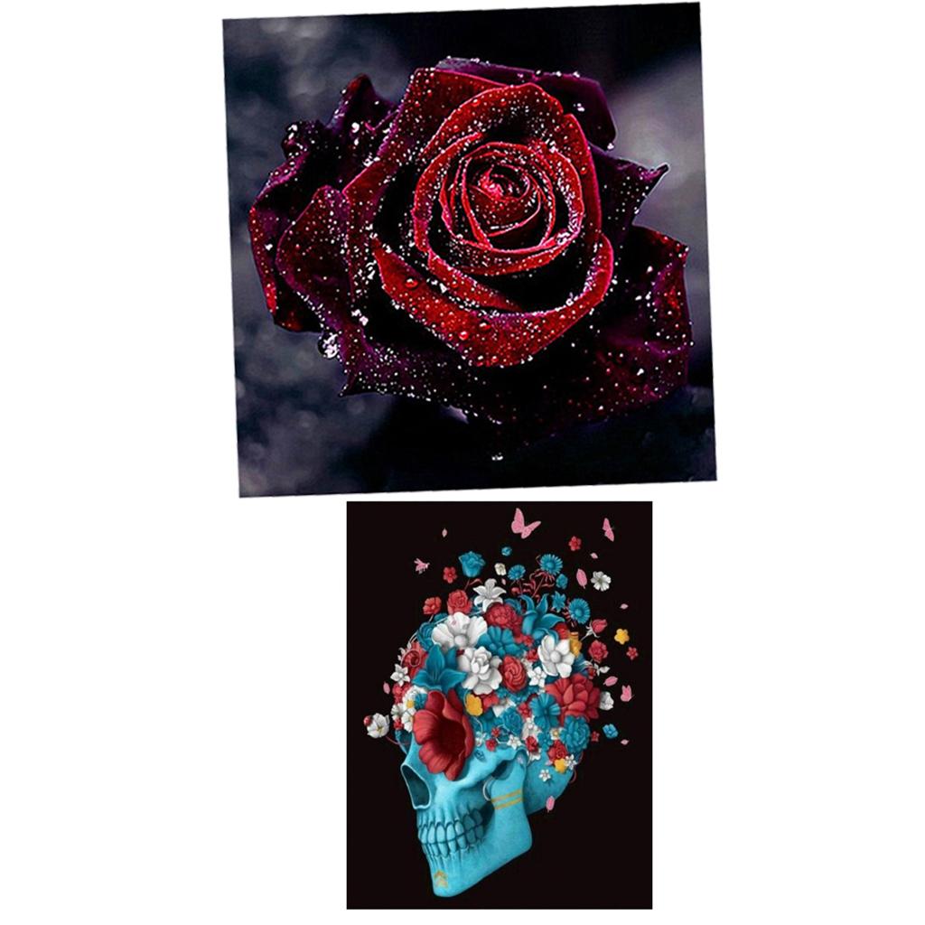 2Pcs 5D Diamond Painting DIY Skull Rose Flower Embroidery Kit Home Decor