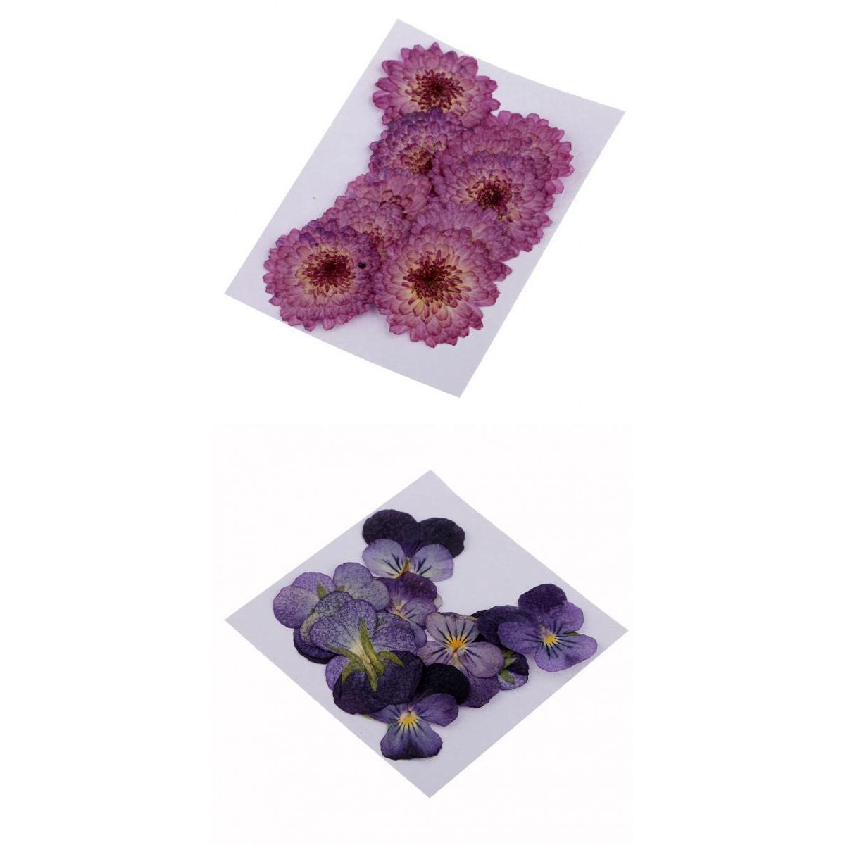 22 Pieces Dried Pressed Flowers Daisy Pansy for DIY Scrapbooking Art Craft