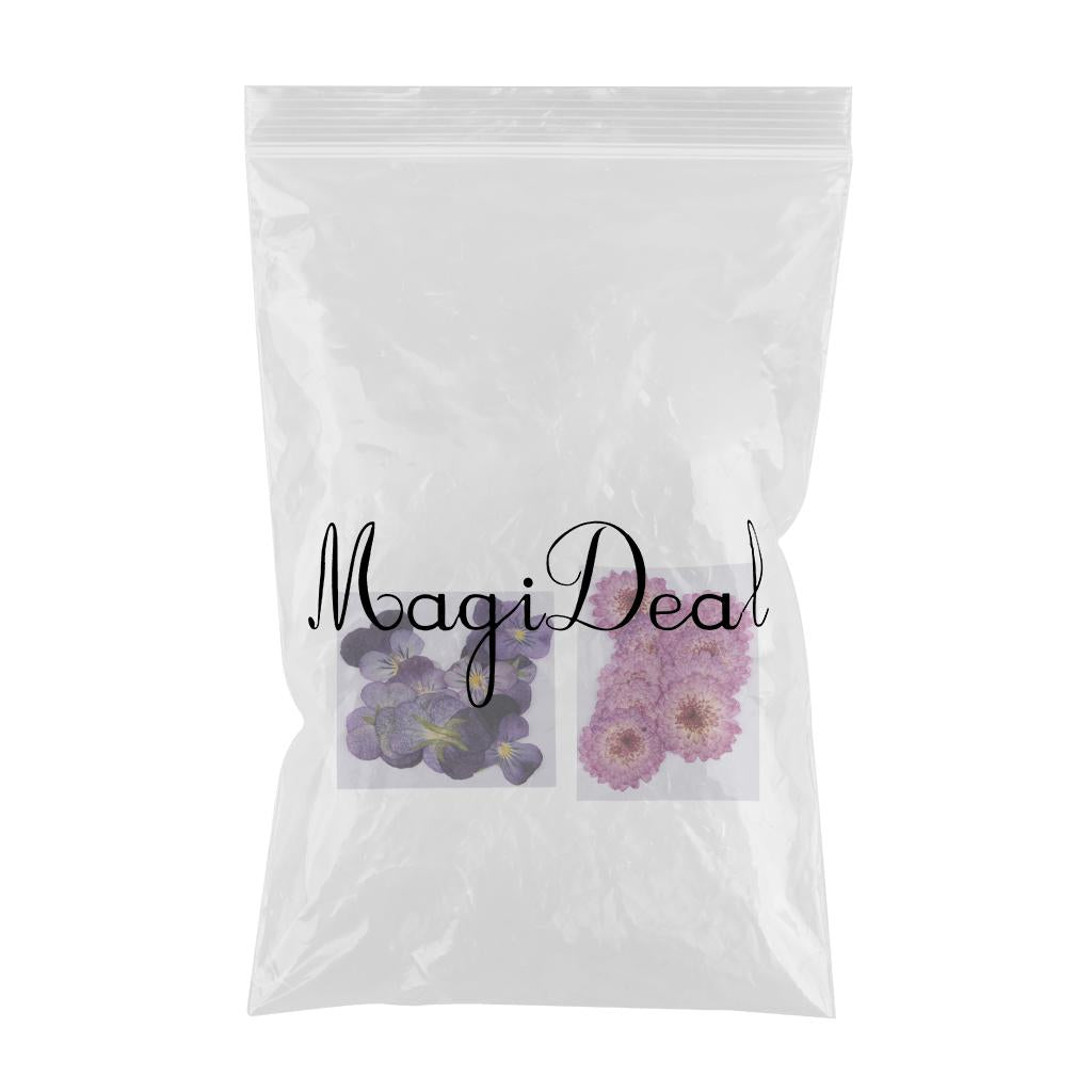 22 Pieces Dried Pressed Flowers Daisy Pansy for DIY Scrapbooking Art Craft