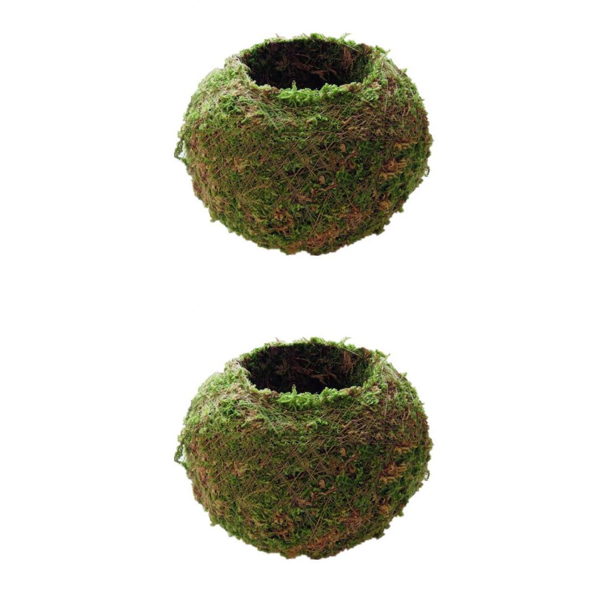 2Pc Creative Moss Ball Flower Pot Planter Bonsai Plant Holder Home 6cm & 9cm