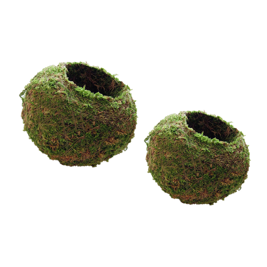 2Pc Creative Moss Ball Flower Pot Planter Bonsai Plant Holder Home 6cm & 9cm