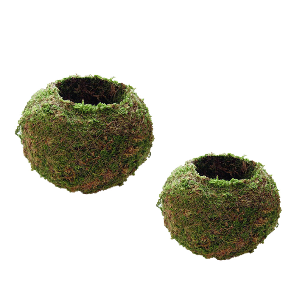 2Pc Creative Moss Ball Flower Pot Planter Bonsai Plant Holder Home 6cm & 9cm