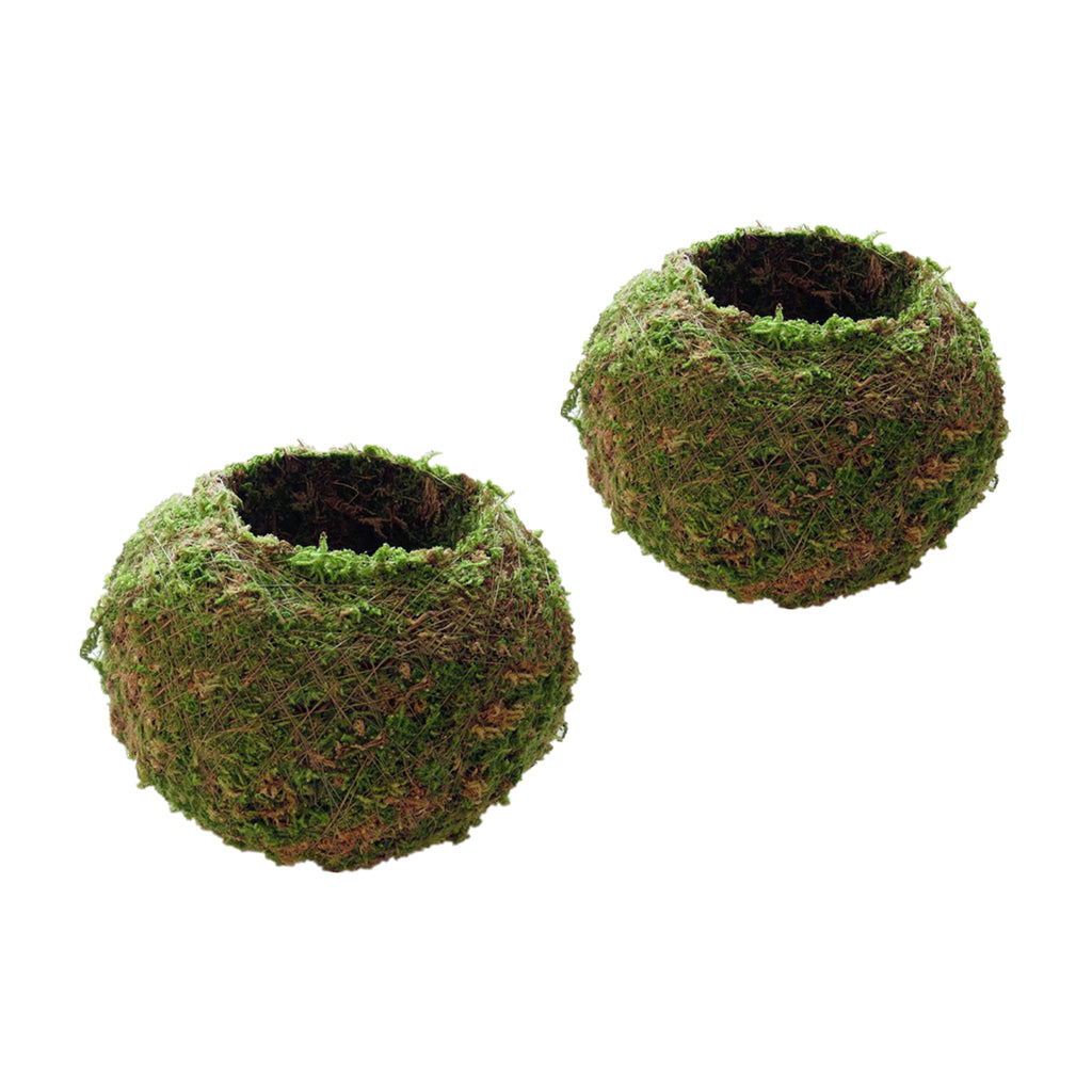 2Pc Creative Moss Ball Flower Pot Planter Bonsai Plant Holder Home 6cm & 9cm