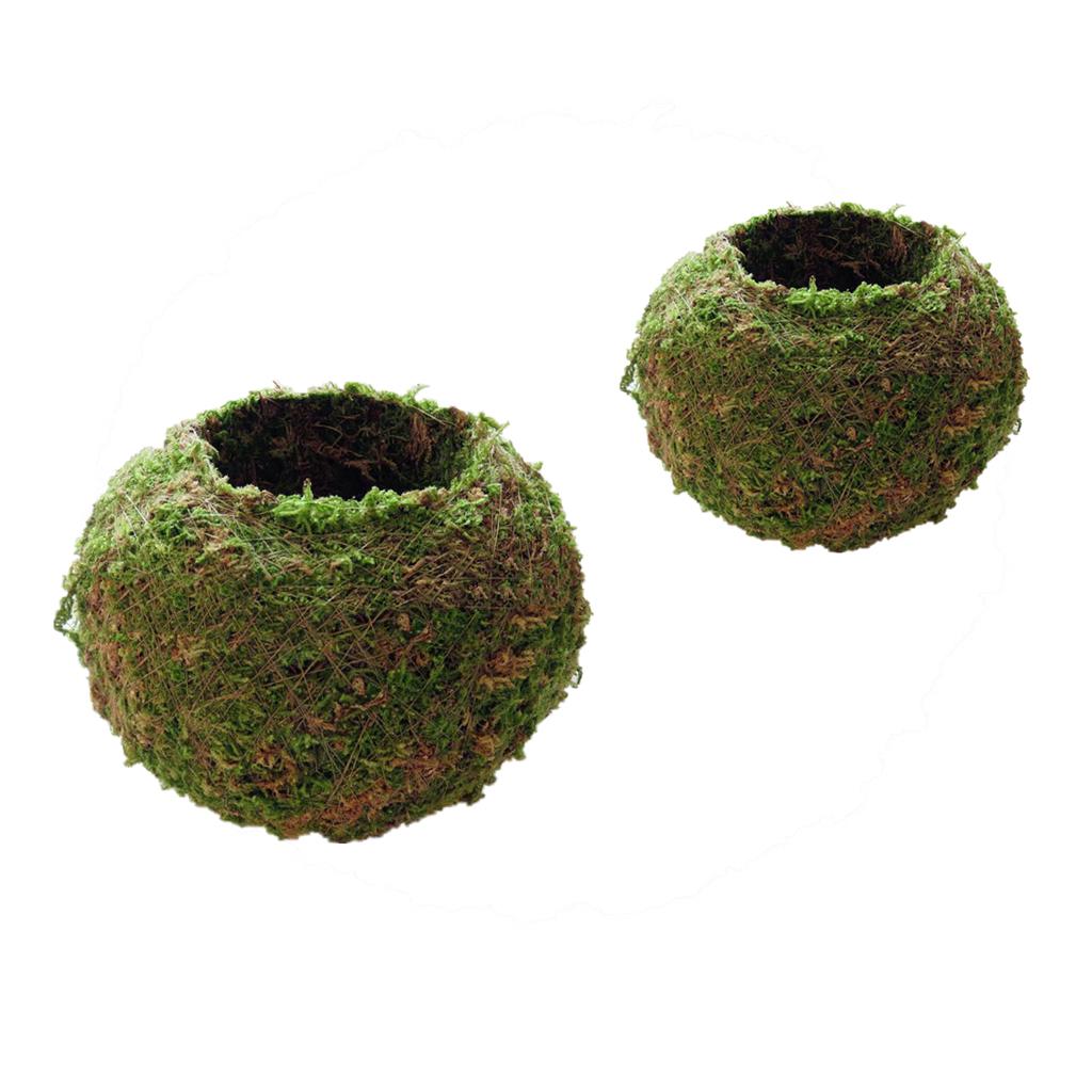 2Pc Creative Moss Ball Flower Pot Planter Bonsai Plant Holder Home 6cm& 12cm